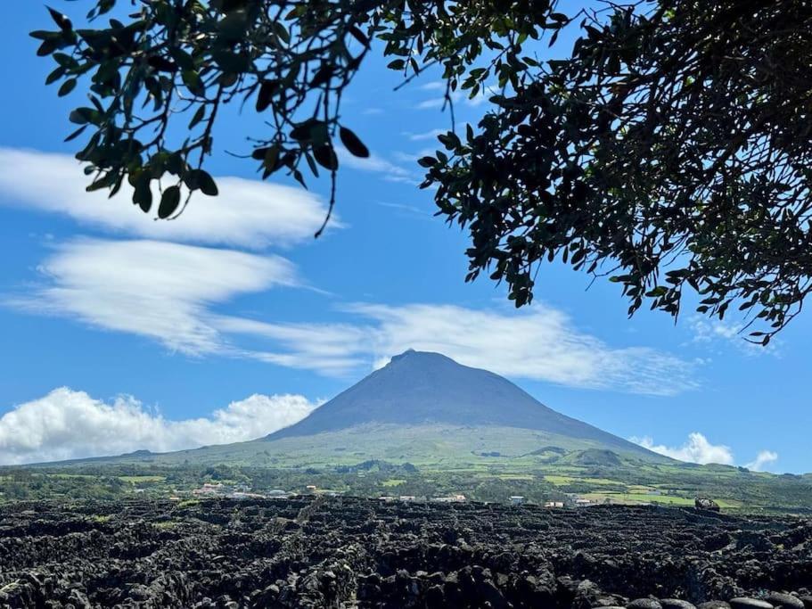 Pico Island Villas Madalena  Kültér fotó