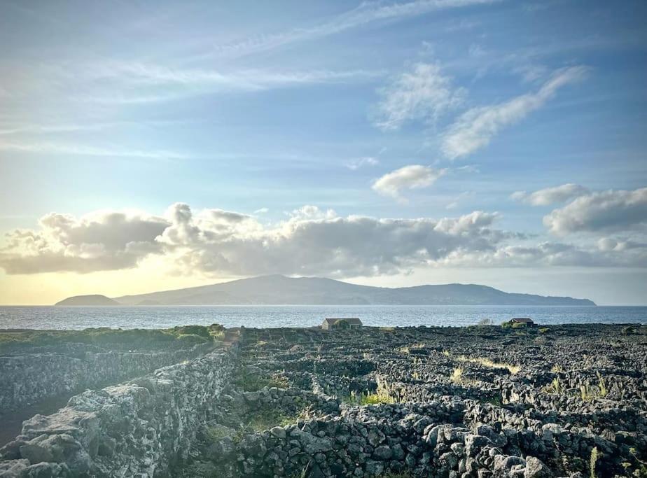 Pico Island Villas Madalena  Kültér fotó