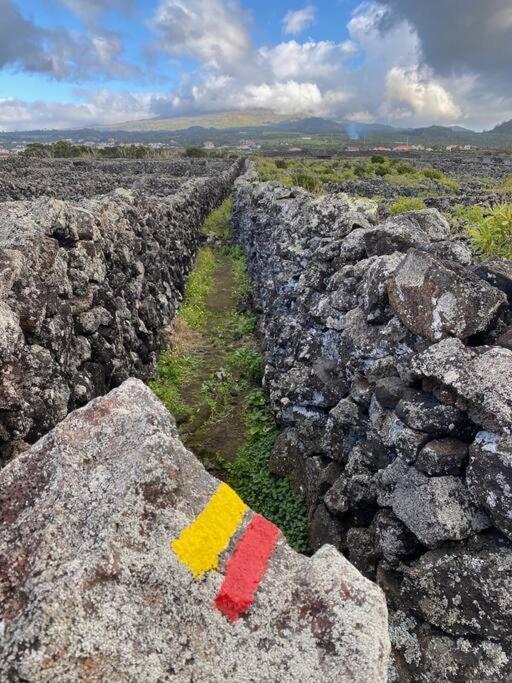 Pico Island Villas Madalena  Kültér fotó