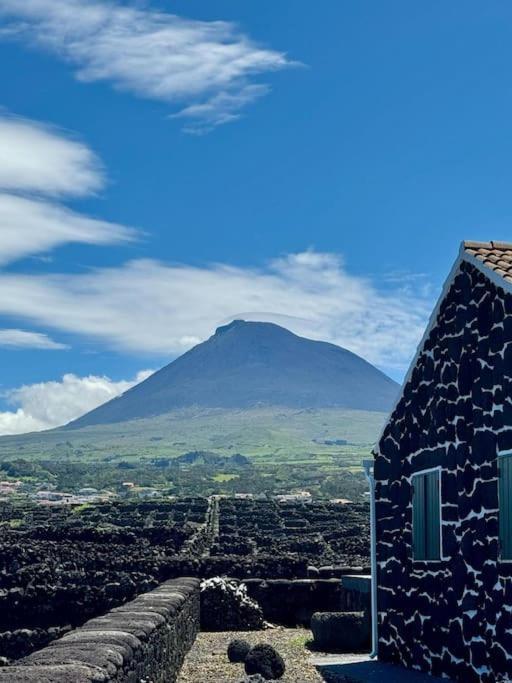 Pico Island Villas Madalena  Kültér fotó